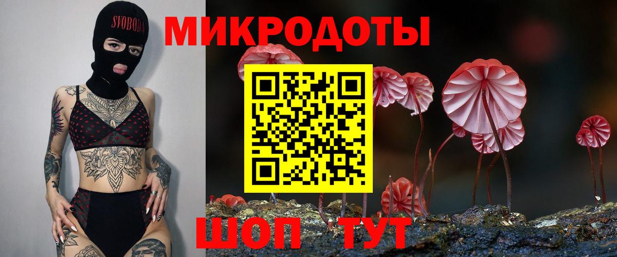 Псилоцибиновые грибы мухоморы Елабуга